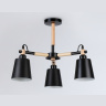 Потолочный светильник Ambrella Light Traditional TR82206