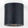 Светильник накладной поворотный Citilux Дюрен CL538113