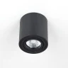 Светильник накладной поворотный Citilux Дюрен CL538113
