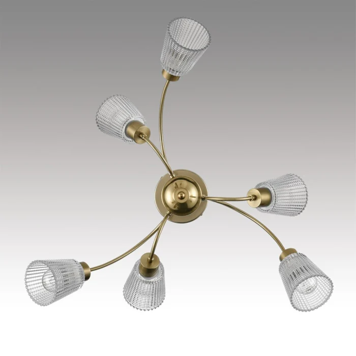 Потолочный светильник Lumion Imana 8154/6C