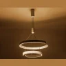 Подвесной светодиодный светильник Ambrella light FL5884