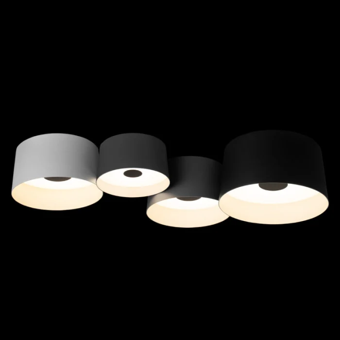 Потолочный светильник LOFT IT Duo 10360/4