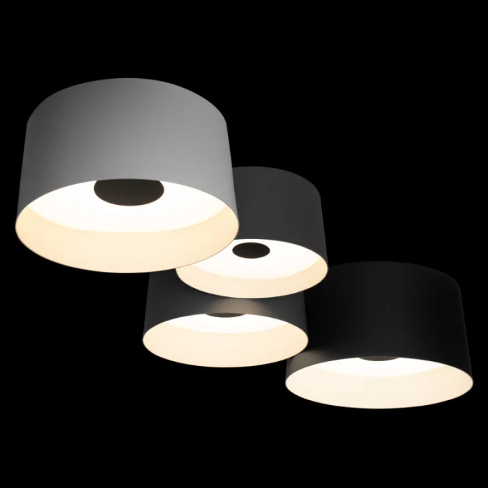 Потолочный светильник LOFT IT Duo 10360/4