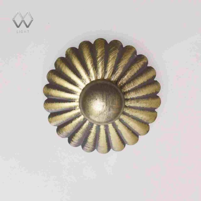 Потолочный светильник Ариадна MW-LIGHT 450015703