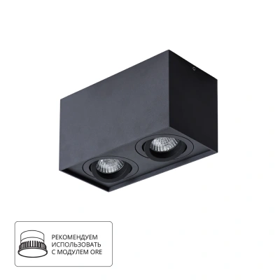 Потолочный светильник Arte Lamp Factor A5544PL-2BK