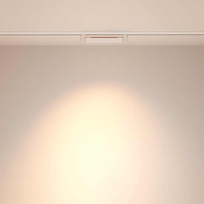 Трековый светильник Maytoni Points Rot TR010-1-10W3K-M-W