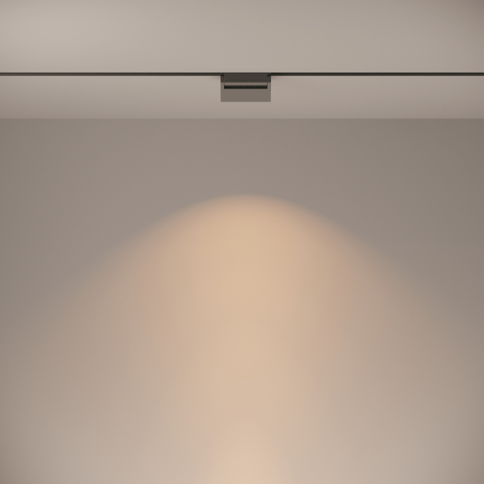 Трековый светильник Maytoni Basis Rot TR013-2-10W3K-B