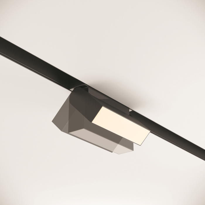 Трековый светильник Maytoni Basis Rot TR013-2-10W3K-B