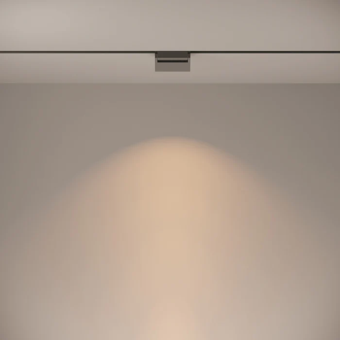 Трековый светильник Maytoni Basis Rot TR013-2-10W3K-B