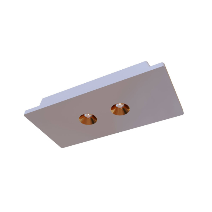 Потолочный светильник Loft it Architect OL1072-WG/2