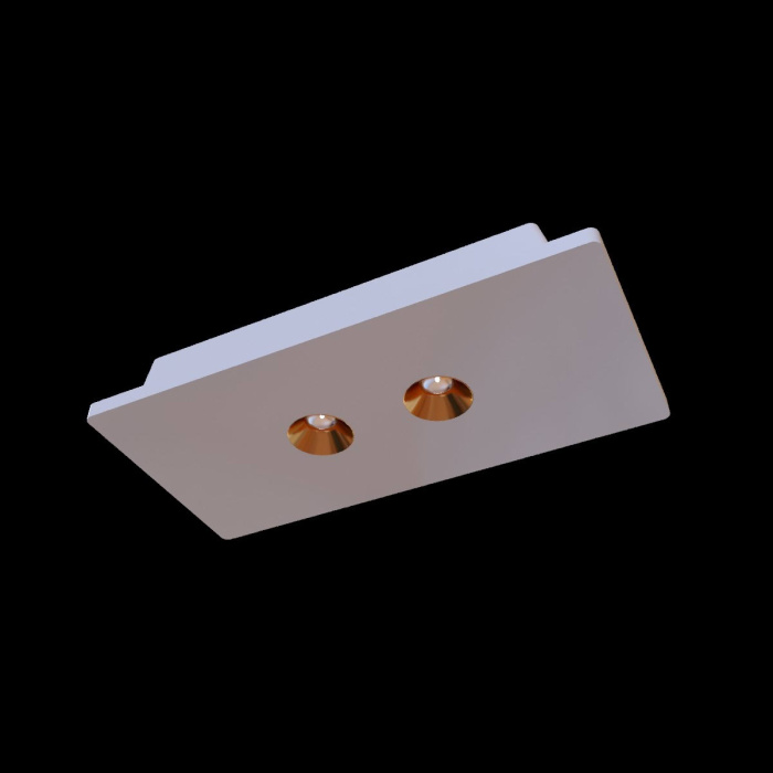 Потолочный светильник Loft it Architect OL1072-WG/2