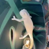 Настенный светильник Seletti Chameleon Lamp 15092