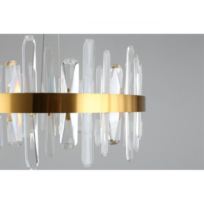 Люстра подвесная Aployt Leon APL.028.03.70