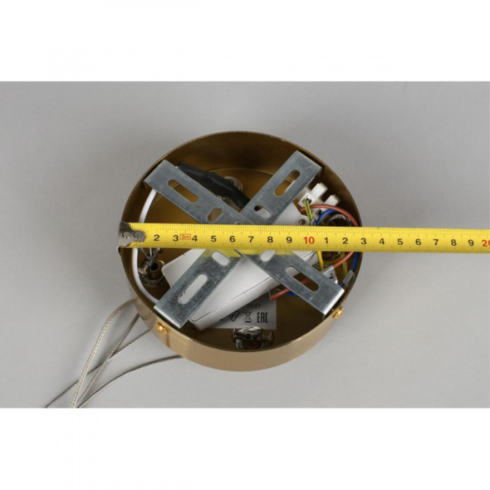 Люстра подвесная Aployt Leon APL.028.03.70