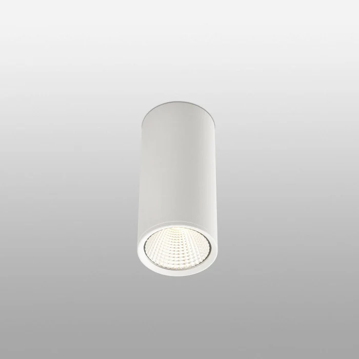 Потолочный светильник REL ceiling lamp