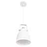 Подвесной светильник Arte Lamp Luned A2214SP-1WH