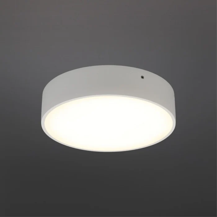 Светильник настенно-потолочный Aployt Evon APL.0113.09.18