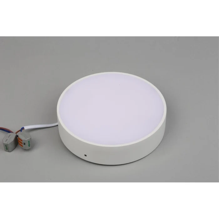 Светильник настенно-потолочный Aployt Evon APL.0113.09.18