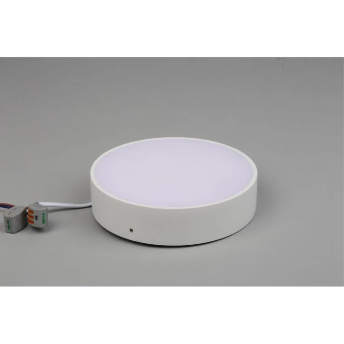 Светильник настенно-потолочный Aployt Evon APL.0113.09.18