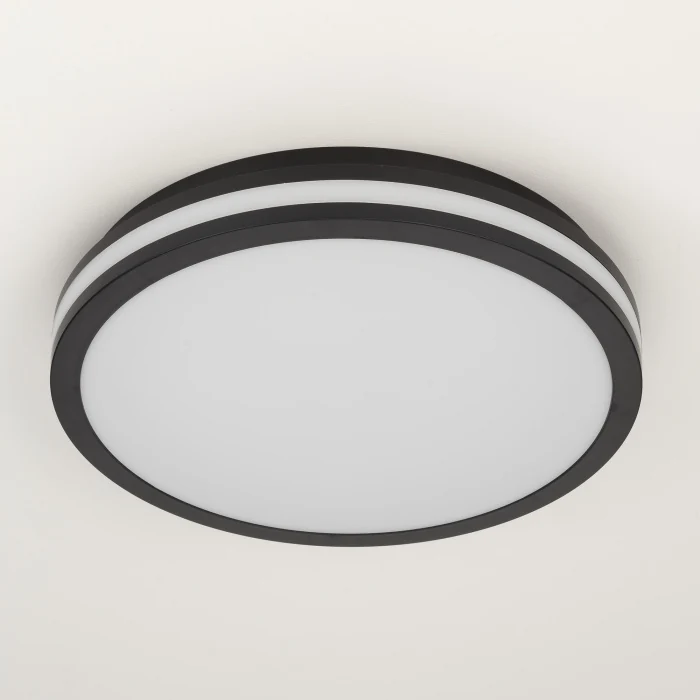 Светильник накладной Citilux LUNS CL711021V