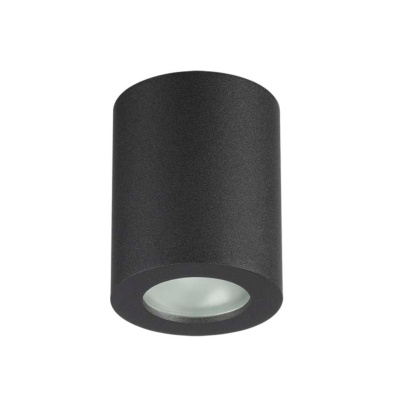 Потолочный накладной светильник Odeon Light Aquana 3572/1C