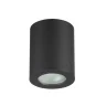 Потолочный накладной светильник Odeon Light Aquana 3572/1C