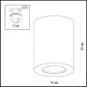 Потолочный накладной светильник Odeon Light Aquana 3572/1C