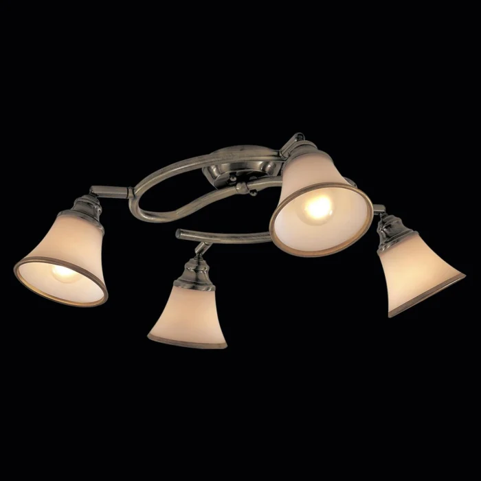 Спот поворотный Citilux Прованс CL511143