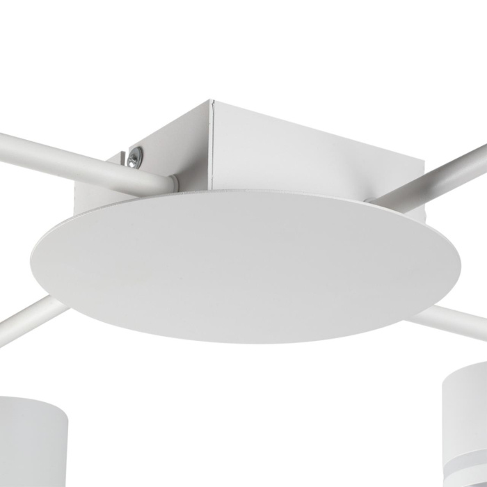 Накладная люстра Lumion Gareta 8235/12C