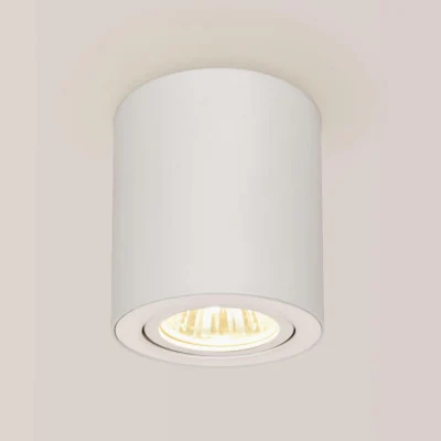 Светильник накладной поворотный Citilux Дюрен CL538111