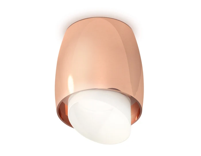 Комплект накладного светильника с акрилом Ambrella light XS1144021