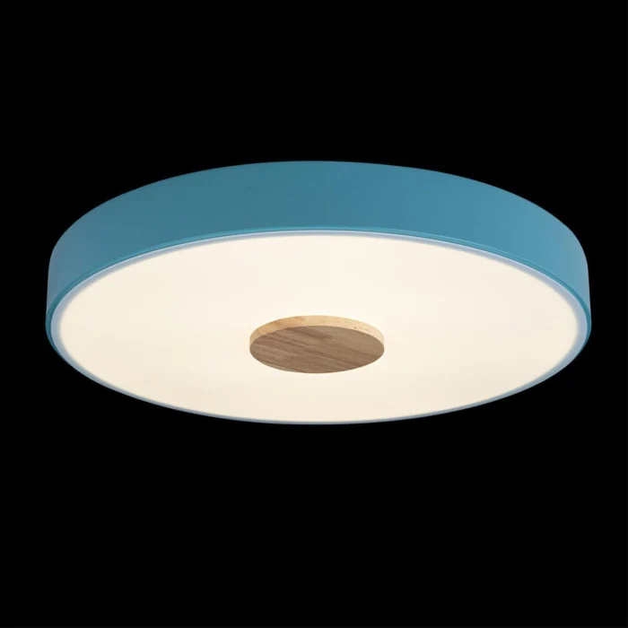 Светильник потолочный Loft it Axel 10003/24 Blue