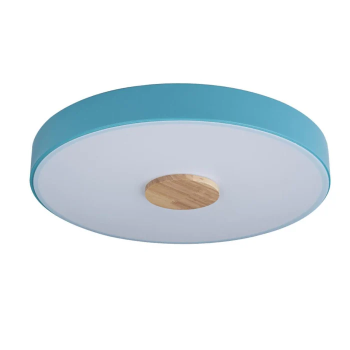 Светильник потолочный Loft it Axel 10003/24 Blue