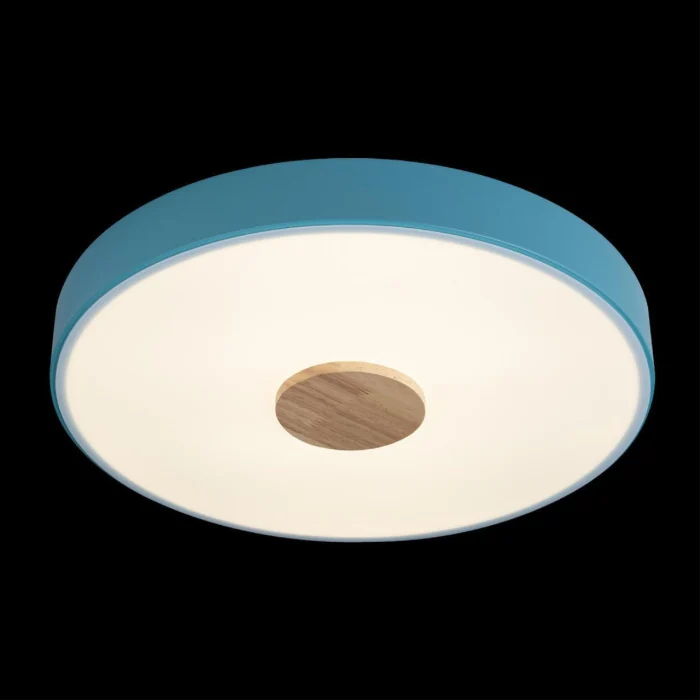 Светильник потолочный Loft it Axel 10003/24 Blue