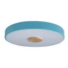 Светильник потолочный Loft it Axel 10003/24 Blue