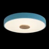 Светильник потолочный Loft it Axel 10003/24 Blue