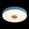 Светильник потолочный Loft it Axel 10003/24 Blue