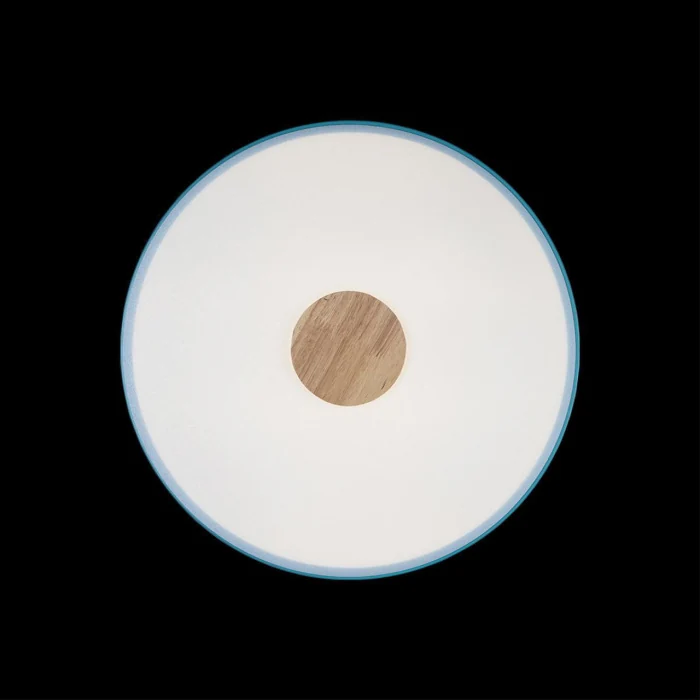 Светильник потолочный Loft it Axel 10003/24 Blue