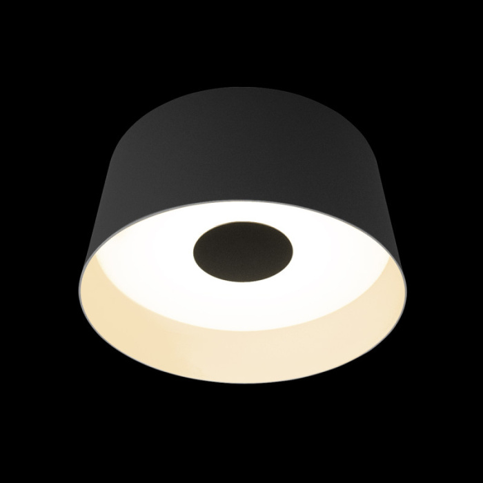 Потолочный светильник LOFT IT Duo 10360M Grey