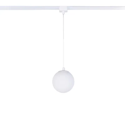 Светильник на шине Favourite 4156-1P