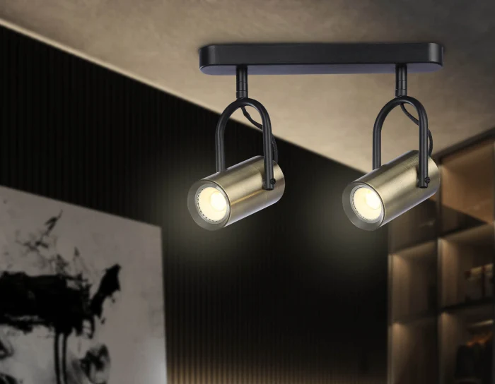 Накладной поворотный спот со сменной лампой GU10 Ambrella light TA13194