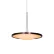 Светодиодный подвесной светильник L'Arte Luce Luxury Rowdy L21761.02