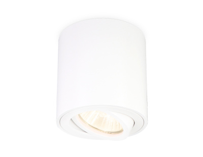 Накладной точечный поворотный светильник Ambrella light TN22701