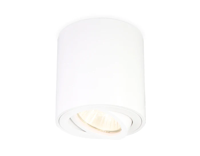 Накладной точечный поворотный светильник Ambrella light TN22701