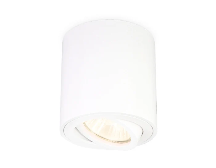Накладной точечный поворотный светильник Ambrella light TN22701