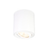 Накладной точечный поворотный светильник Ambrella light TN22701