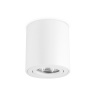 Накладной точечный поворотный светильник Ambrella light TN22701