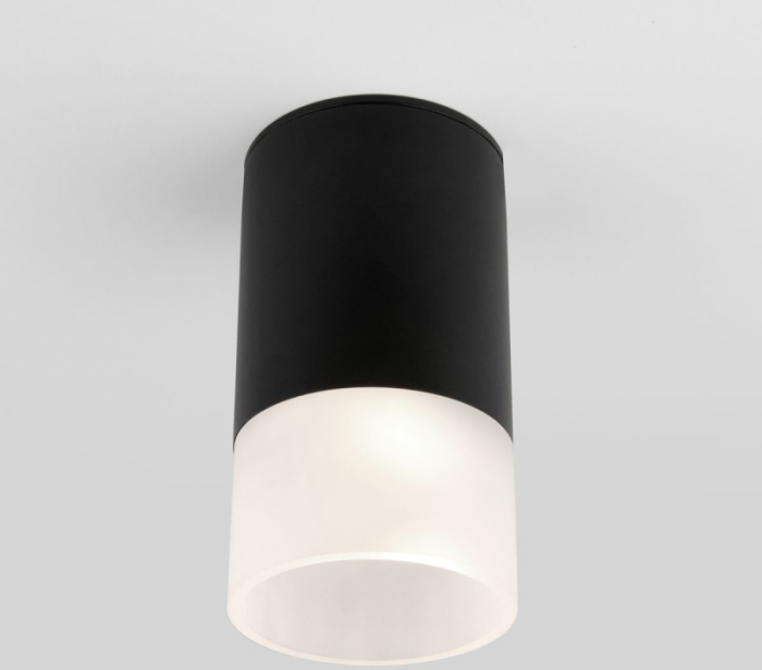 Уличный потолочный светильник Elektrostandard Light led 4690389177910