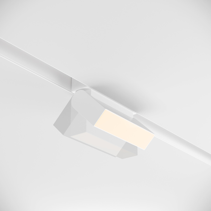 Трековый светильник Maytoni Basis Rot TR013-2-10W3K-W