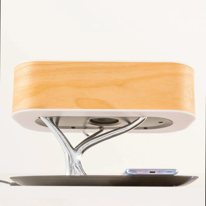 Настольный светильник Citilux Ньютон CL803042